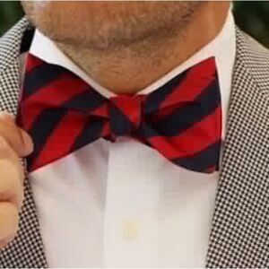 Tommy Hilfiger, red/blue bowtie, very elegant & sophisticated.